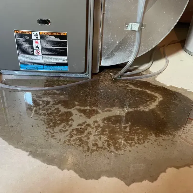 Appliance Leak Cleanup in Mount Ida, AR